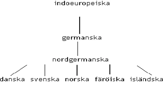 Figur 1: nordiska språk (ur: Nordiska ministerrådet 2004)
