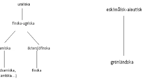 Figur 2: språk i Norden (ur: Nordiska ministerrådet 2004) 