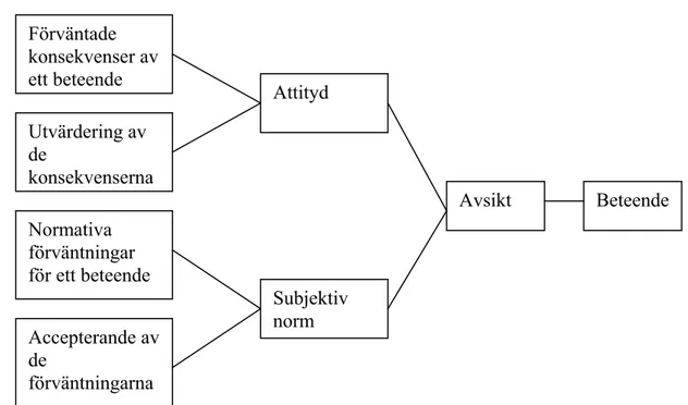 Figur 3.1 Theory of Reasoned Action 