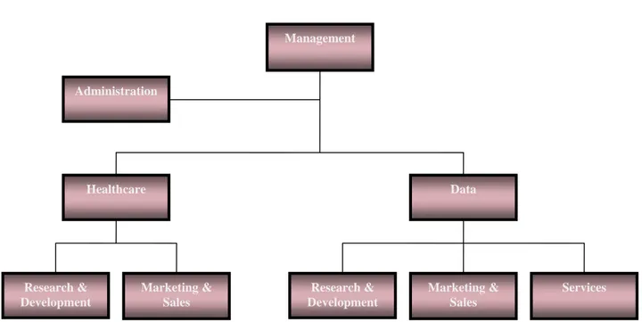 Figure 1. Traditional Vertical organization chart 
