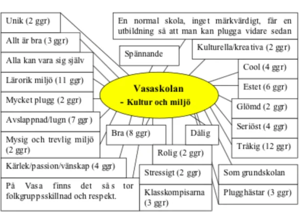 Figur 9. Mental karta över Vasaskolans kultur- och miljöassociationer. Källa: egen,  2009