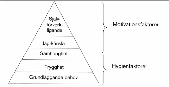 Figur 1: En jämförelse av Maslows behovstrappa och Hertzbergs två faktormetoden  (Gudmundsson 2008, s 11)