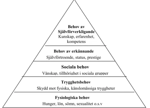 Figur 1: Behovshierarki, (Jørgen F Bakka 2006 s. 175). 
