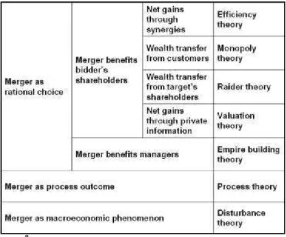 Figure 2: Merger motives  9