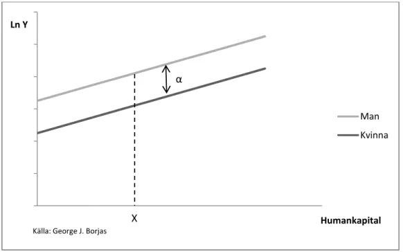 Diagram 2: Löneekvation för män och kvinnor med dummyvariabel modell. 