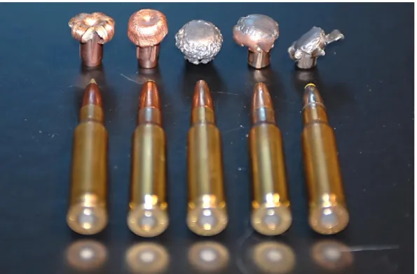 Figure 1. The various bullets that were used in the investigation; they were shot from a .308 calibre 