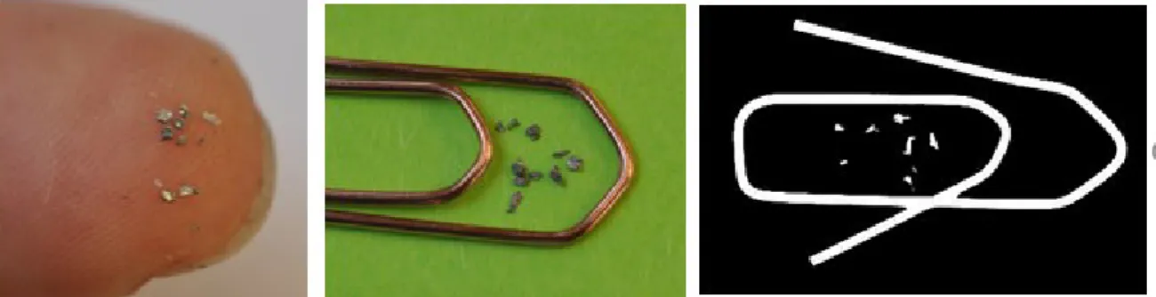 Figure 3. The pictures show 8 mg of lead shavings from a used lead bullet, photographed on a  finger tip and alongside a paper clip
