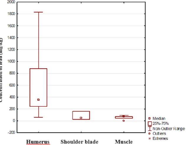Figure 10. Lead levels in meat from wound channels where the bullet hit the humerus, shoulder 