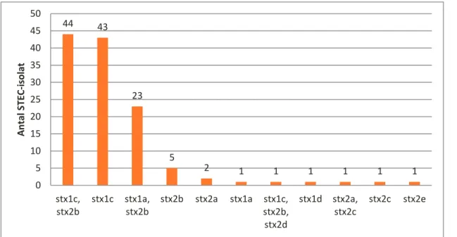 Figur 4. Förekomst av stx-subtyper i de 123 insamlade STEC-isolaten. 