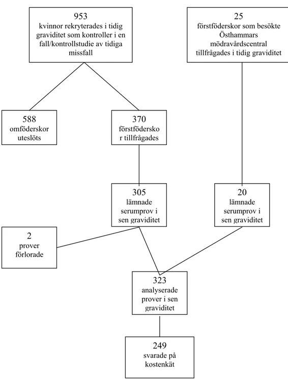 Figur 1 . Flödeschema över rekrytering och provtagning. 