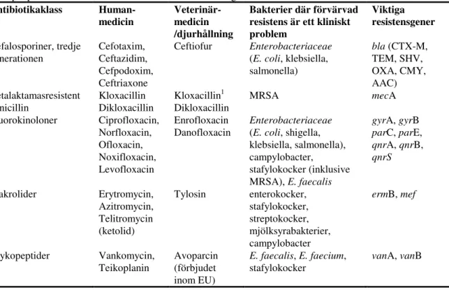 Tabell 1. Antibiotikaklasser, och exempel på substanser som används på human- respektive djursidan och  exempel på bakterier med förvärvad resistens och resistengener