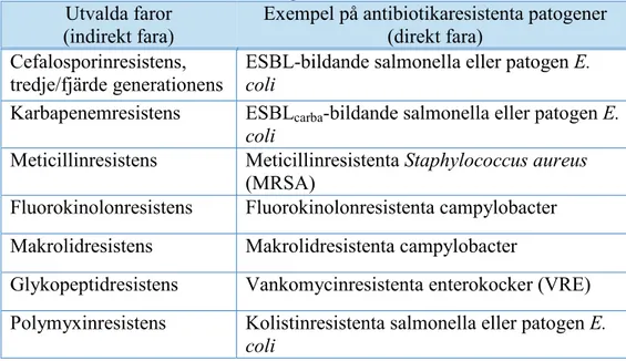 Tabell 1. De viktigaste farorna med avseende på livsmedelsburen antibiotika-