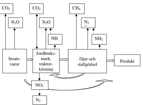 Figur 7. Huvudsakliga utsläpp av växthusgaserna koldioxid (CO 2 ), lustgas (N 2 O) och metan (CH 4 ) i olika delsteg  