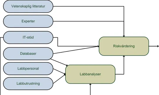 Figur 1.  Schematisk bild över resursberoenden för verksamheterna Laboratorieanalyser   och Riskvärdering