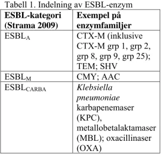 Tabell 1. Indelning av ESBL-enzym   ESBL-kategori  (Strama 2009)  Exempel på  enzymfamiljer  ESBL A  CTX-M  (inklusive  CTX-M grp 1, grp 2,  grp 8, grp 9, grp 25);  TEM; SHV 