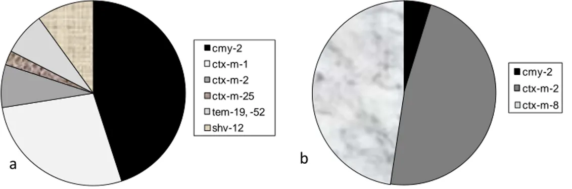 Fig. 2. Fördelning av de ESBL-gener som påvisades hos E. coli från a) 39 positiva  prover från kycklingkött som förts in från EU-länder (Danmark, Estland, Finland,  Frankrike, Kroatien, Lettland, Nederländerna, Polen, Tyskland) och b) 42 positiva  prover f