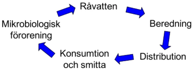 Figur 2. Huvudsakliga områden i dricksvattnets kretslopp. 