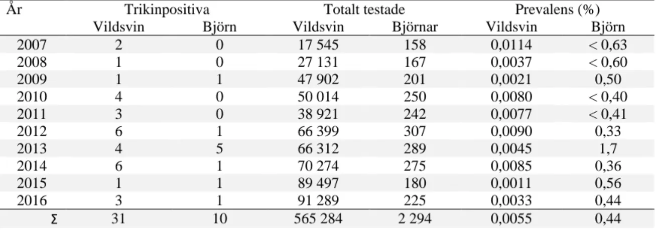 Tabell 1. Trikinpositiva vildsvin och björn mellan år 2007 och 2016 baserat på uppgifter från samtliga  trikinlaboratorier i Sverige (insamlade och sammanställda för rapportering av zoonoser till EU [3]) 