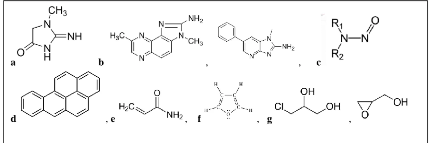 Figur 1    a) Kreatinin, b) två exempel på Heterocykliska aminer, MeIQx och PhIP c) Nitrosamin,   d) Benso(a)pyrén, e) Akrylamid, f )Furan, g) 3-MCPD och Glycidol