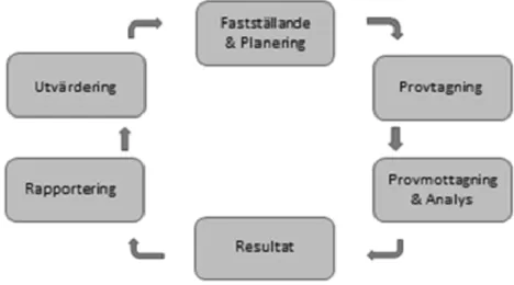 Figur 1:Uppbyggnaden av kontrollprogrammet för bekämpningsmedelsrester 
