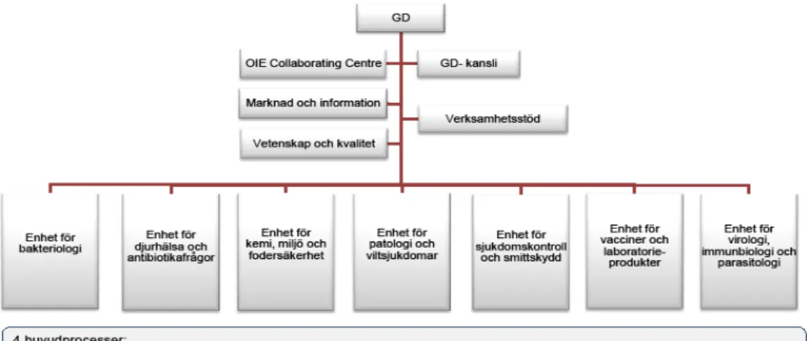 Figur 6. Organisation för Statens veterinärmedicinska anstalt. 