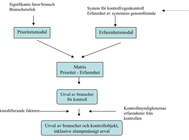 Figur 1. Schematisk bild över riskklassificeringsmodellen 