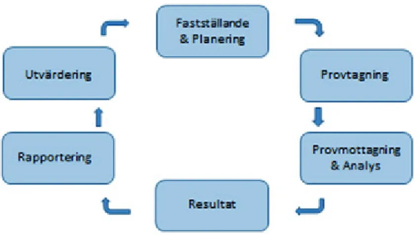 Figur 1: Uppbyggnaden av kontrollprogrammet för bekämpningsmedelsrester. 