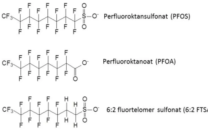 Figur 1. Exempel på fluorerade alkylsyror (i jonform). Överst en schematisk bild av en  perfluoralkyl-sulfonsyra