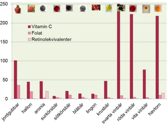 Figur 5. Bidrag i procent till det rekommenderade dagliga intaget av de olika vitaminerna (9) från 