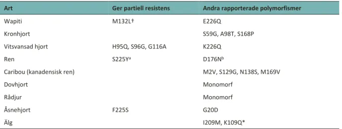 Tabell 3. Variabilitet i PRNP-genotyper hos hjortdjur i Nordamerika (Robinson, et al., 2012) samt Skandinavien (Wik et al.,  2012; Güere et al