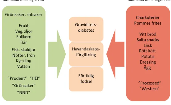 Figur 1. Sammanfattande figur över de kostmönster och de livsmedel som karakteriserar de kostmönster där minskad  (grön) eller ökad (röd) risk för graviditetskomplikationer observerades i nordiska studier