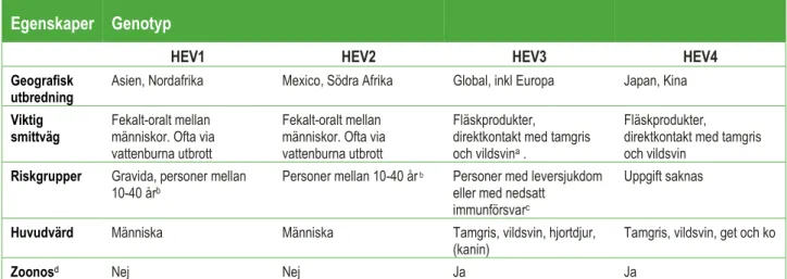 Tabell 1. Sammanfattning av egenskaper och utbredning av hepatit E-virus (HEV) genotyp 1-4 