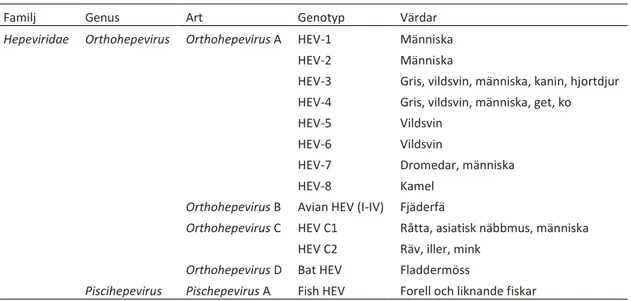 Tabell 1. Klassificering av hepeviridae, baserad på (Spahr et al., 2018) 