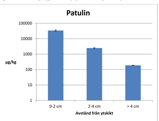 Fig 4. Patulin bildning i äppelmos som ympats med P. expansum i ytskiktet. 