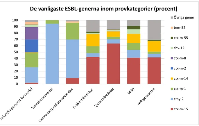 Figur 6. Fördelning av olika ESBL-gener inom och mellan respektive provkategori. Urvalet  av de typer som redovisas med genbeteckning är baserat på de genuppsättningar som var  vanliga hos livsmedelsisolat och som dessutom återfanns hos E