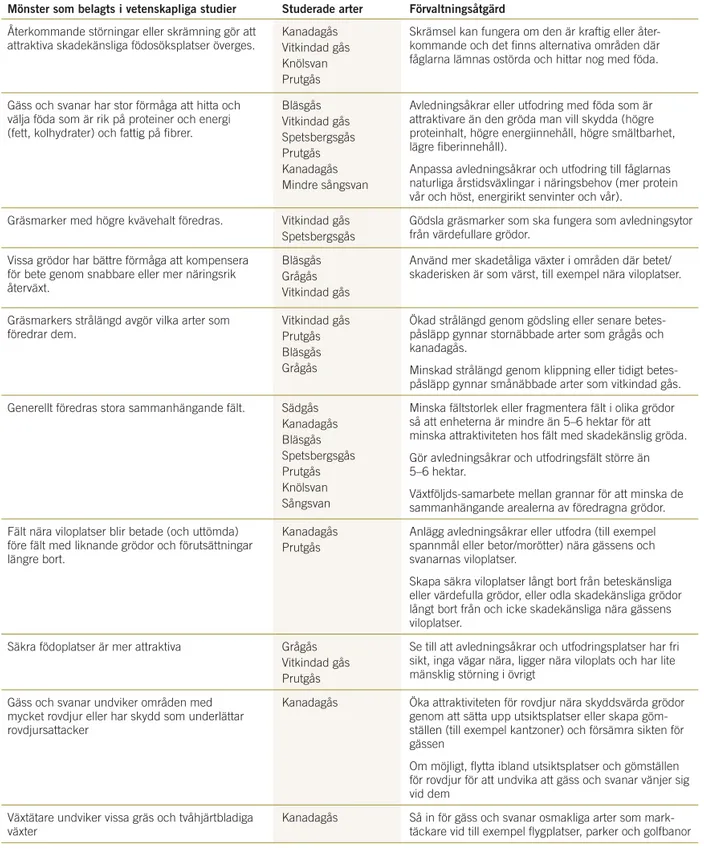 Tabell 1. Vetenskapligt väldokumenterade mönster (vänstra kolumnen) kan användas för att styra gäss och svanar från  skyddsvärda grödor till andra platser (högra kolumnen)