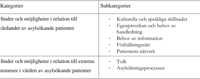 Figur 2. Kategorier och subkategorier
