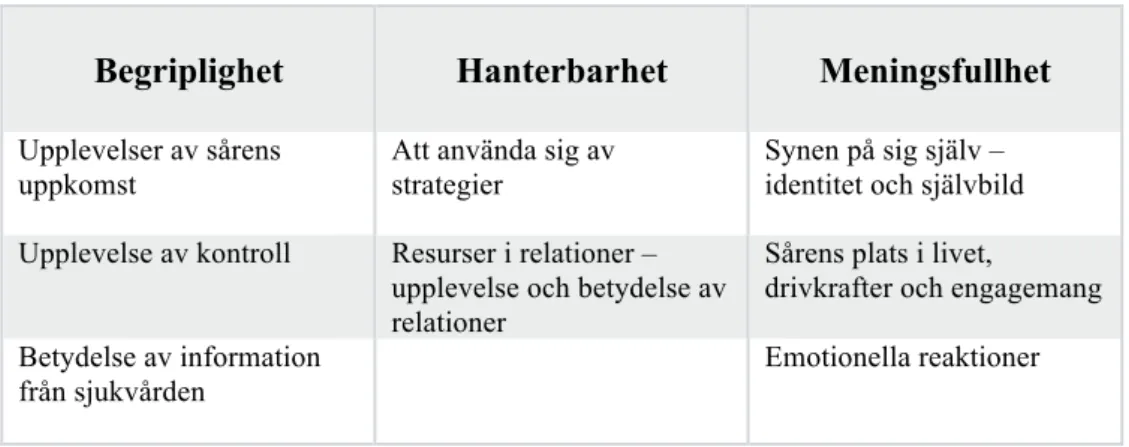 Tabell 1: Huvudkategorier och underkategorier.