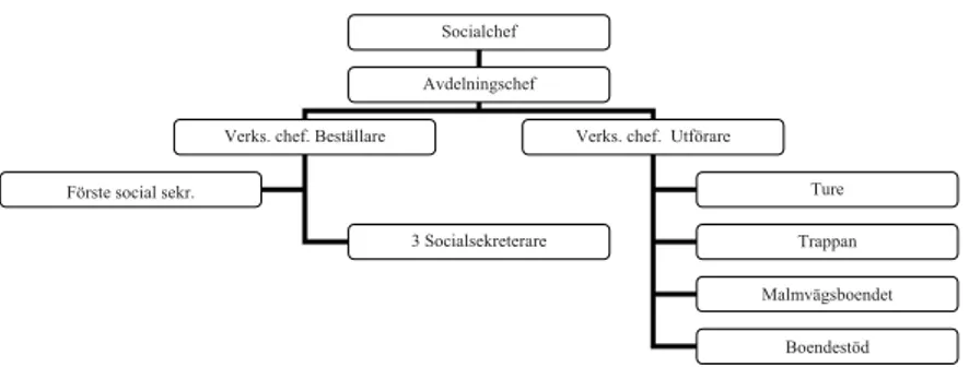Figur 1. Socialpsykiatrins organisering