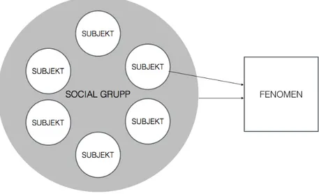 Figur 2. Subjektets position mot fenomenet i social grupp. 