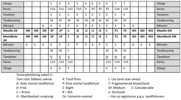 Tabell 5. Översikt över tandhälsa hos grav 7. 