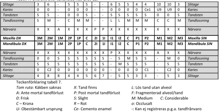 Tabell 7. Översikt över tandhälsa hos Grav 13. 