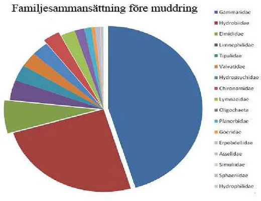 Figur 4. Procentuell fördelning av familjer i inventeringen före muddringen.    Utdragna partierna är familjerna med störst förändring mellan provtagningarna