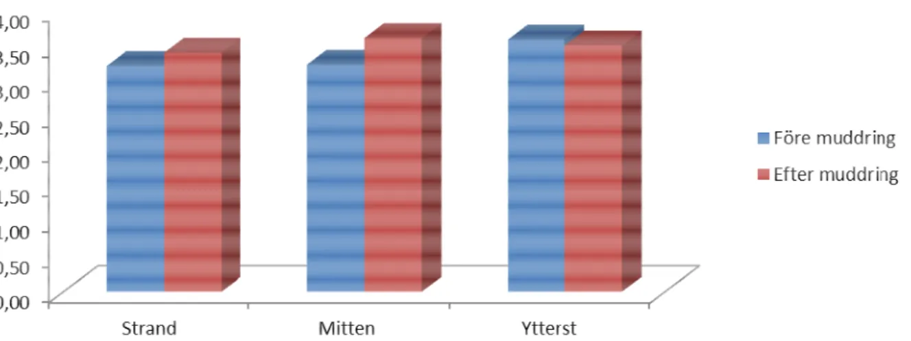 Figur 7. BQI medelvärdena från de enskilda provrutorna av de tre olika profil områdena före och efter muddringen