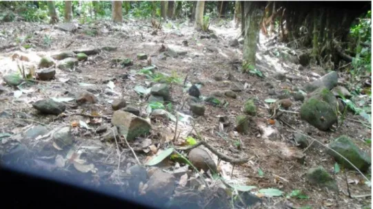 Figure 10. Stone platform with bluks ( burial markers) (smaller rocks), interpreted as an 