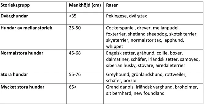 Tabell 4. Storleksindelning av hundraser utifrån Adlercreutz (2003) och SKK. 