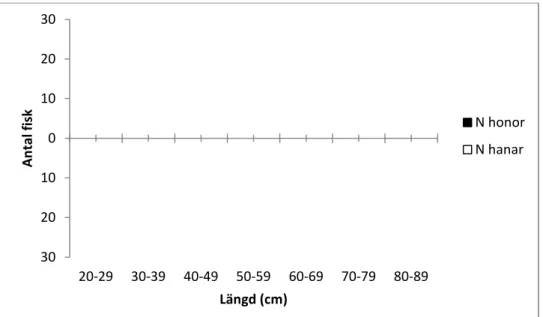 Figur 3. Fördelning av hanar och honor i olika längdklasser (cm).