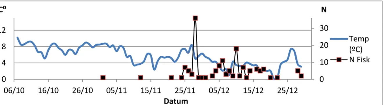 Figur 9. Uppvandring av öring (N; antal fiskar) i förhållande till lufttemperatur (ºC).