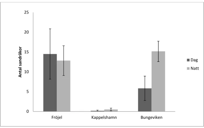 Figur 7. Medelvärdet av antalet fångade sandräkor, dag respektive natt, vid de tre lokalerna