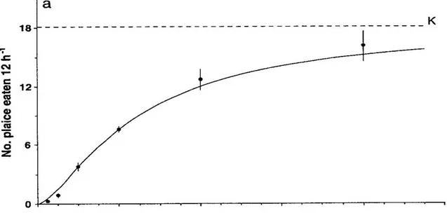 Figur 2. Functional response test med sandräka (3 st) som prederar på juvenil rödspätta med slammärlor (C